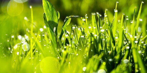 Чем дальше от моря, тем теплее: прогноз погоды на выходные в Приморье