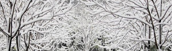 На северо-запад Китая обрушился снегопад (ВИДЕО)