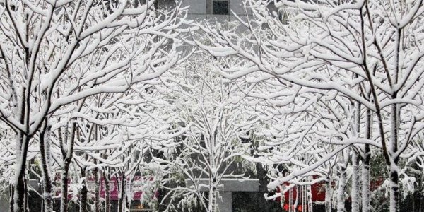 На северо-запад Китая обрушился снегопад (ВИДЕО)