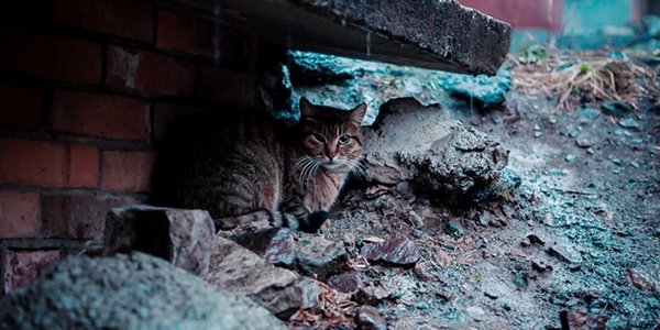 Завтра в Приморье начнутся дожди