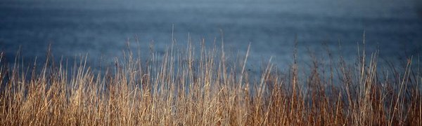 В ближайшие сутки температуры воздуха в Приморье продолжат понижаться