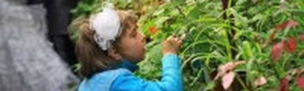 Ботанический сад: ничего в мире не происходит случайно