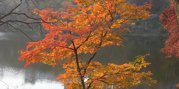 Небольшой дождь ожидает Приморье на выходных