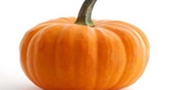 Тыква — королева Хэллоуина и осени