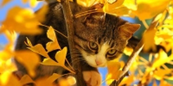 Пятничное настроение