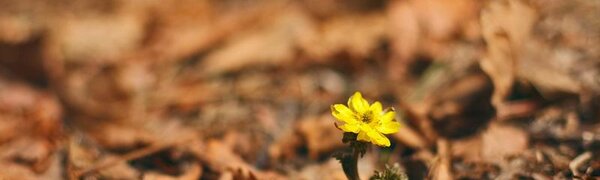 Длительность времен года в России может сильно измениться