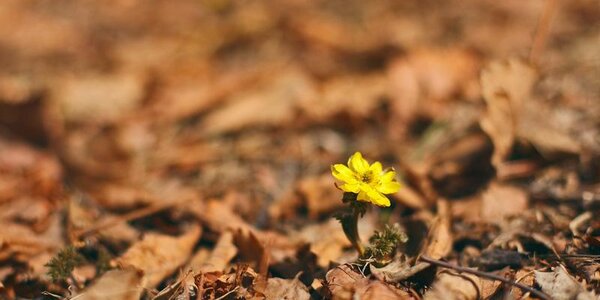 Длительность времен года в России может сильно измениться