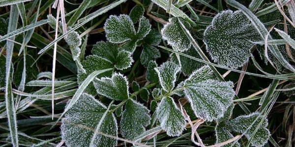 В начале следующей недели погода в Приморье будет холодной и ветреной