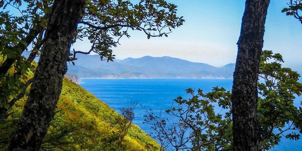 До +24 прогревается воздух в Приморье