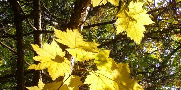 До +22 прогреется воздух в Приморье во вторник