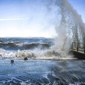 Свирепствовавший во Владивостоке ветер не побил рекорд тайфуна «Майсак»
