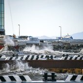 Свирепствовавший во Владивостоке ветер не побил рекорд тайфуна «Майсак»