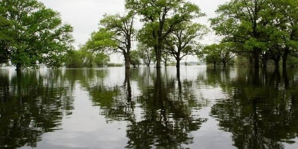 В Приморье наблюдается интенсивный подъём воды в реках с разливами и затоплениями