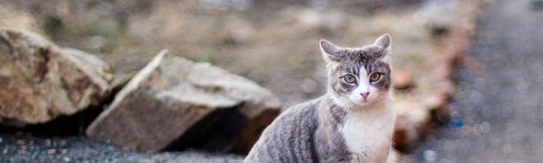 Морозы покидают Приморье до следующей зимы