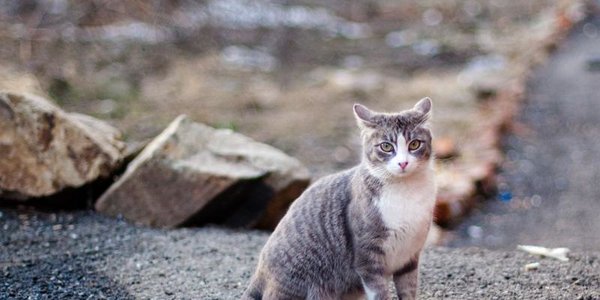 Морозы покидают Приморье до следующей зимы