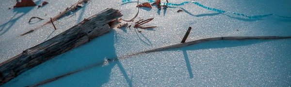 К середине февраля в Приморье стало ещё меньше снега