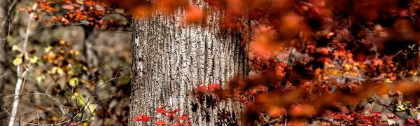 Немного теплее станет в Приморье только в середине недели