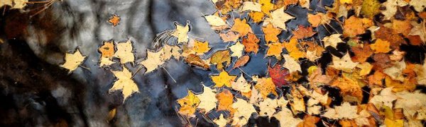 В выходные в Приморье начнётся похолодание