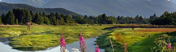 На Аляске погода бьёт температурные рекорды