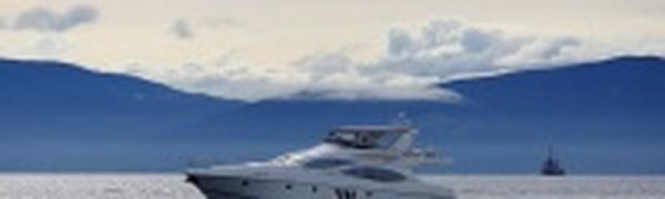 Экологическая ситуация в прибрежных водах залива Петра Великого оставляет желать лучшего