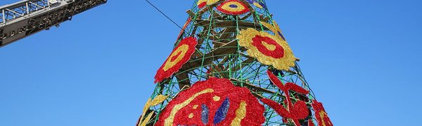 Монтаж главной ёлки завершается во Владивостоке