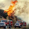 Лесной пожар уничтожил 15 жилых домов в Калифорнии