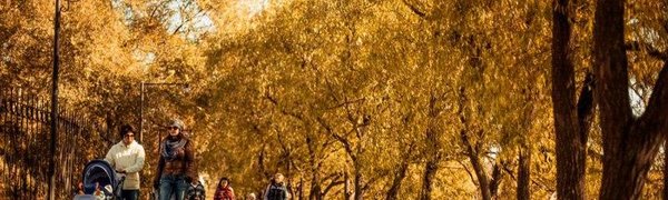 Чего ожидать от октября в Приморье?