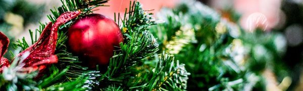 Посетите новогодний праздник в зоопарке «Чудесный»!