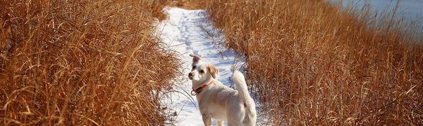 Горожан приглашают в поход по тропам Седанки в субботу, 2 февраля