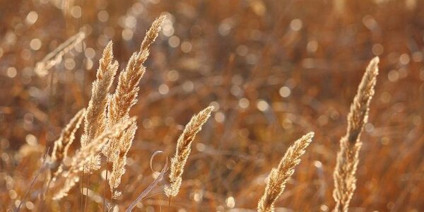 Выходные дни в Приморье будут солнечными, ветреными и прохладными