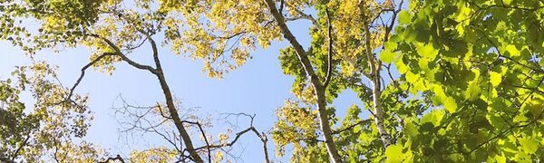 Минувший сентябрь назван самым тёплым за всю историю наблюдений