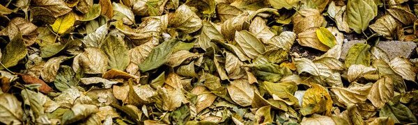 Синоптики рассказали о погоде в Приморье на предстоящей неделе