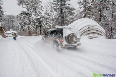 Снег, гололедица и снежный накат: всё о погоде в Приморье на выходных