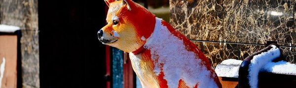 Март начнётся в Приморье снежно