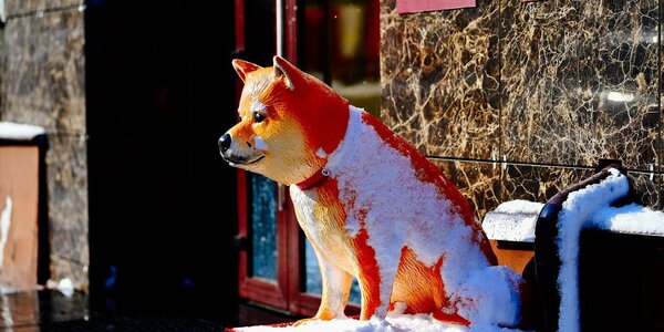 Март начнётся в Приморье снежно