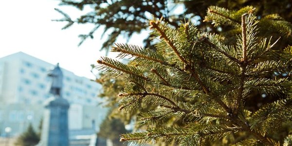 Чем дышал Владивосток с с 12 по 20 ноября?