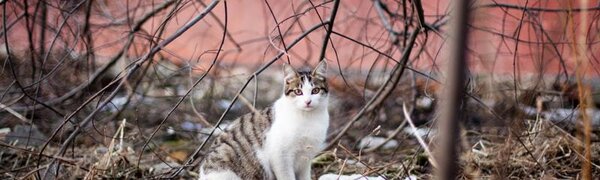 Какой погоды ждать в Приморье в марте