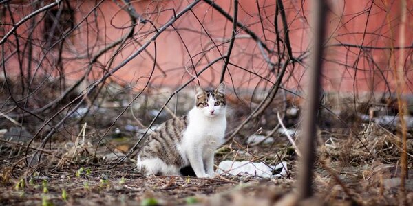 Какой погоды ждать в Приморье в марте