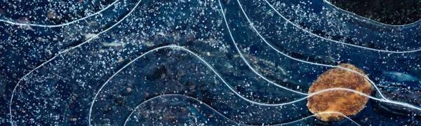 На реках Приморья началось постепенное развитие ледовых явлений