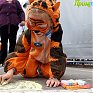 Владивосток отметил День тигра