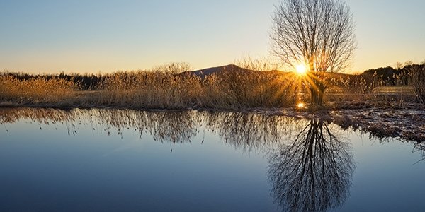 Дожди вызвали подъём уровня воды на реках Приморья
