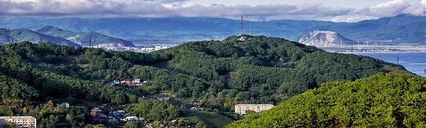 Выдачу бесплатных гектаров в Приморье начнут с 1 июня