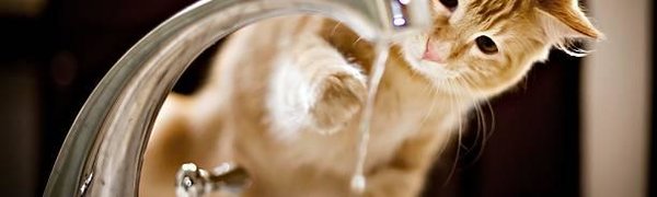 Летне-осенние гидравлические испытания начнутся во Владивостоке 30 июля