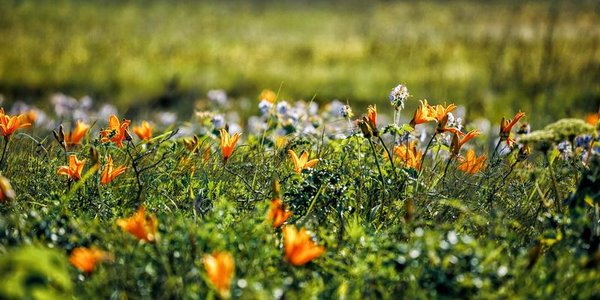 В начале следующей недели погода в Приморье будет неустойчивой