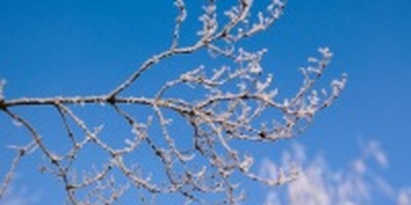 В Приморском крае прошел небольшой снег