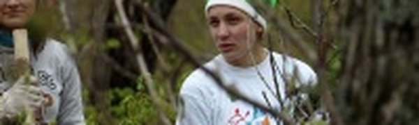 Кедры для леопарда