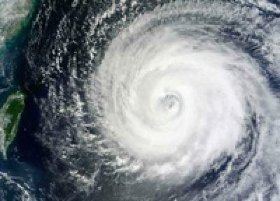 В Тихом океане возник тайфун «SONCA»