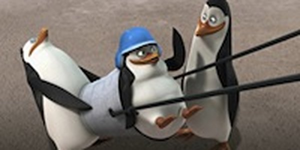 Канцлер Германии взяла шефство над пингвином