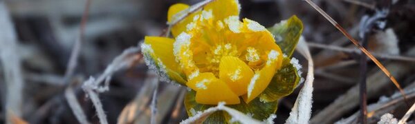 Март-2026 в Приморье оказался теплым