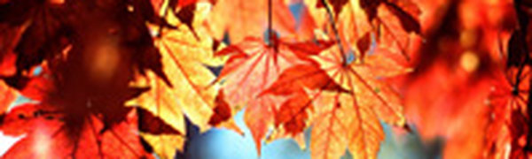 Климатические итоги октября в Приморье
